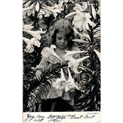 Consider the Lilies 1907 Original Postcard P2-3