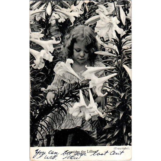 Consider the Lilies 1907 Original Postcard P2-3