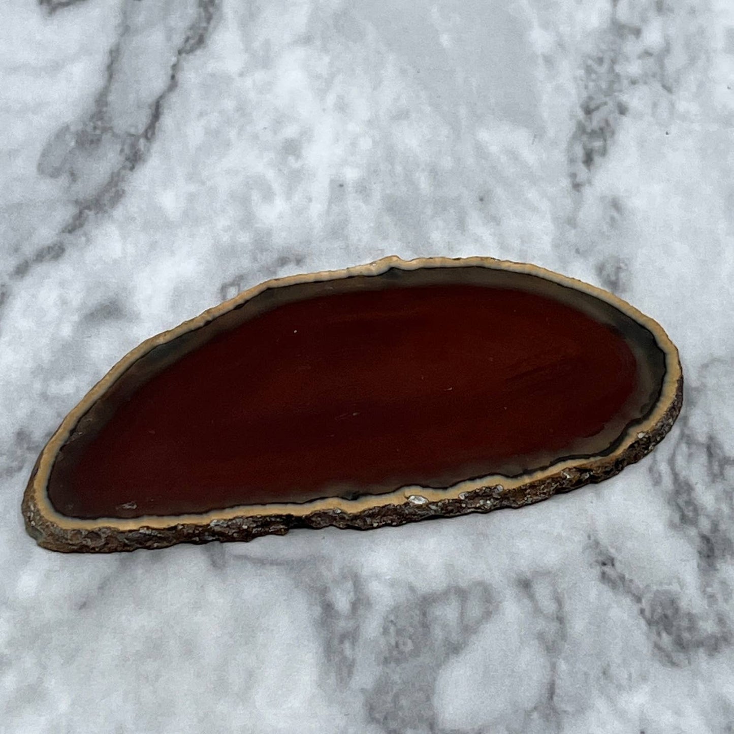 Brown Earth Tone Agate Slice Coaster 3.25x1.5" SA2