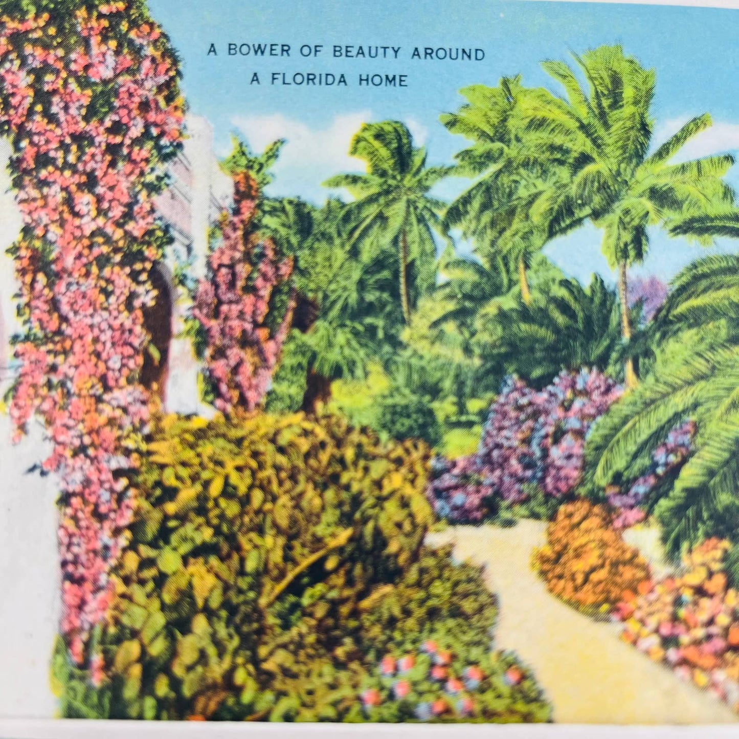 1940s Tropical Florida Fold Out Postcard Souvenir Book EA2