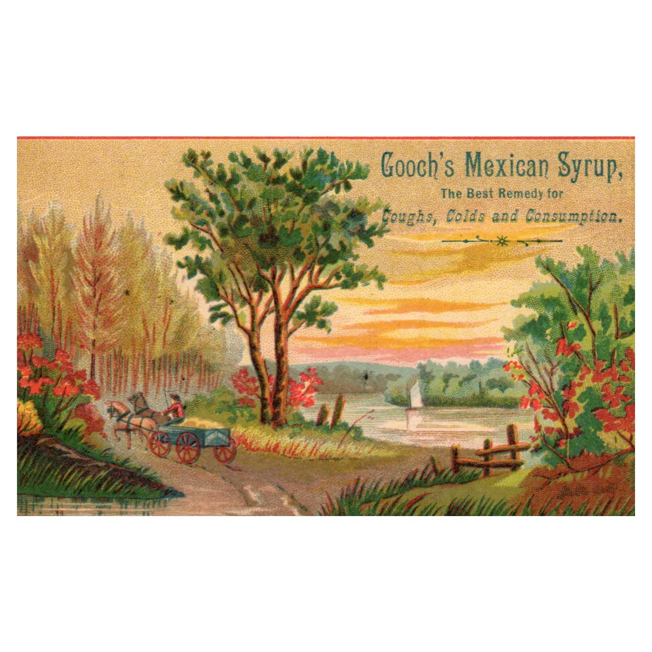 Gooch's Mexican Root Capsules Quack - 1880s Victorian Trade Card TJ8-3