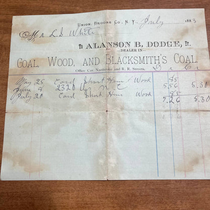 1883 Invoice Bill Union Broome Co. NY Alanson B Dodge Nanticoke & R.R. Street A8