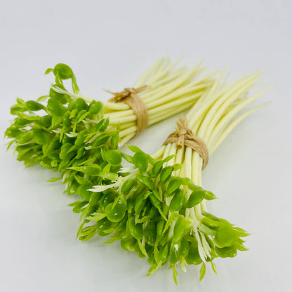 2 Bunches Vintage Artificial Fake Bean Sprouts TD3-4