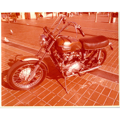 c1970 Original Photo Triumph Bonneville T120 Motorcycle 8x10 AD6