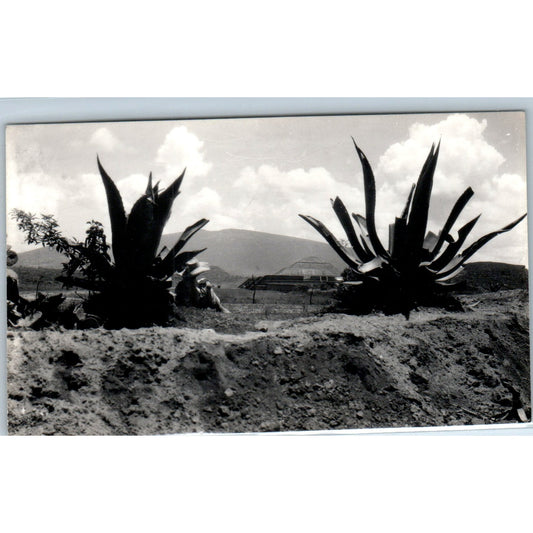 San Juan Teotihuacan Quetzalcóatl Ruins Mexico - Original RPPC Postcard P3-8