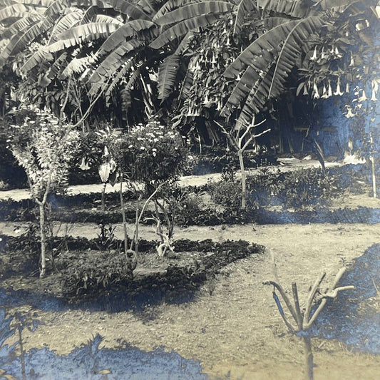 1903 Original Sepia Photograph Hotel El Rigo Courtyard Tehuacan Puebla AC7