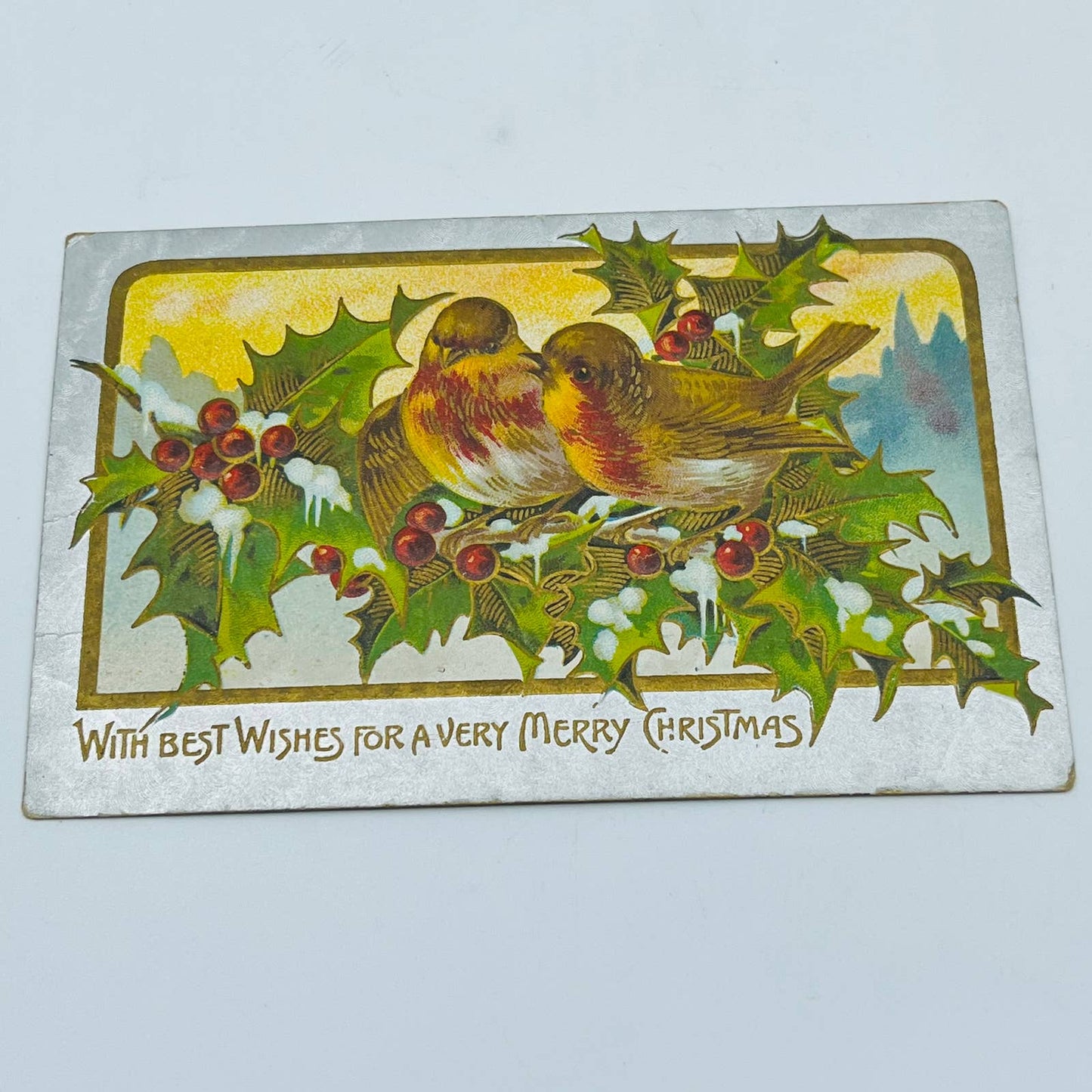 1910s Christmas Post Card Embossed Gold Holly Silver Snow Robins PA4