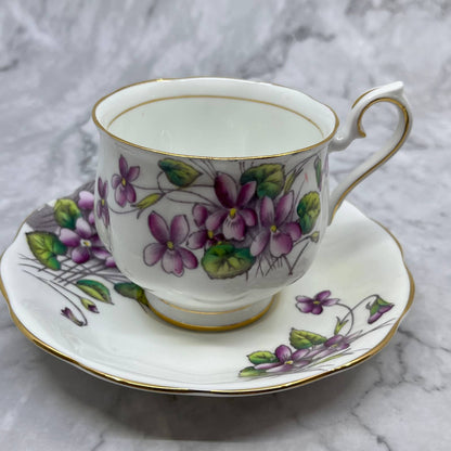 Hand Painted Royal Albert Bone China Flower of the Month #2 Cup & Saucer TD1