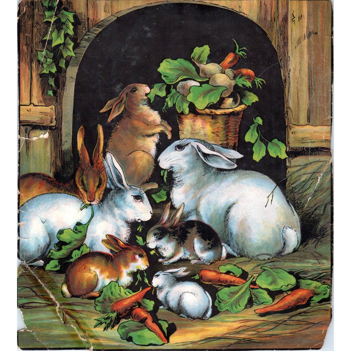 Antique Picture Print Rabbits Eating Carrots and Turnips 7.5x8.5 TJ1-2