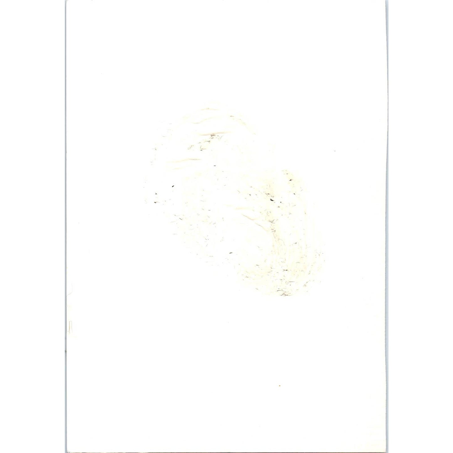 Venezuela Ambassador Tejera-Paris at Yankton College 1966 Photo 5x7 TK1-P4