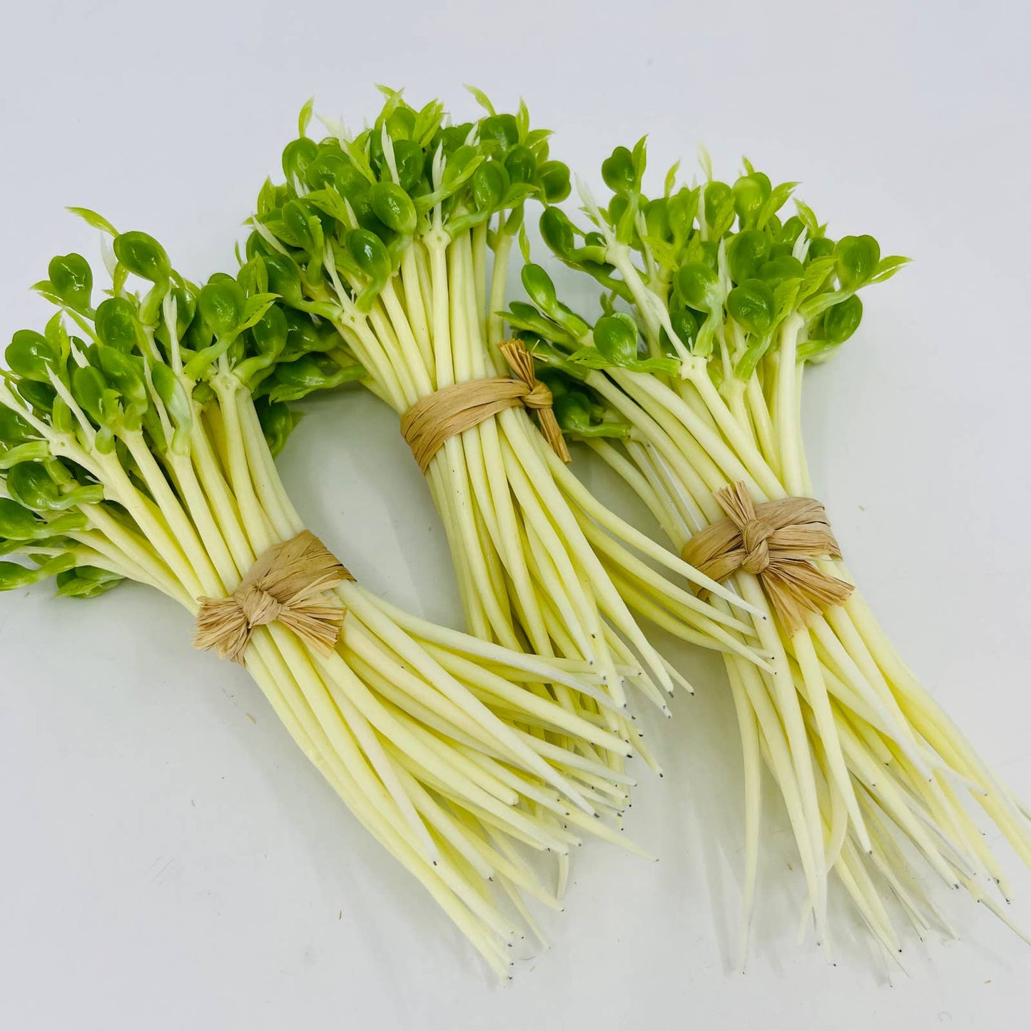 3 Bunches Vintage Artificial Fake Bean Sprouts TD3-6