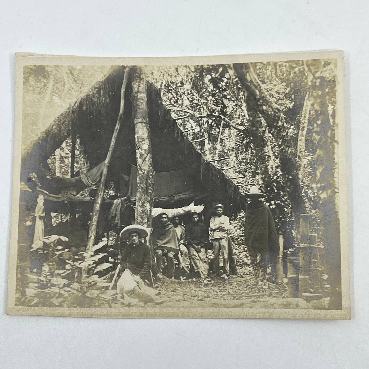 1903 Original Sepia Photograph Hut of the Chicleros At Tuxpam Mexico AC7