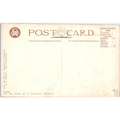 Gathering Poppies in the Winter Time California c1910 Original Postcard TK1-P20