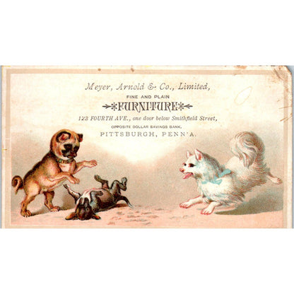 1880s Trade Card Meyer, Arnold & Co Furniture Pittsburgh Dogs Playing SF2