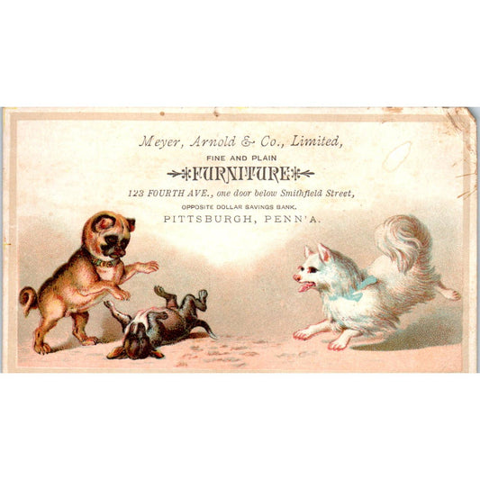 1880s Trade Card Meyer, Arnold & Co Furniture Pittsburgh Dogs Playing SF2