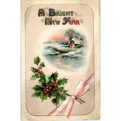 New Years Greeting Embossed Holly Winter Cottage - Original Postcard TJ7-RP3