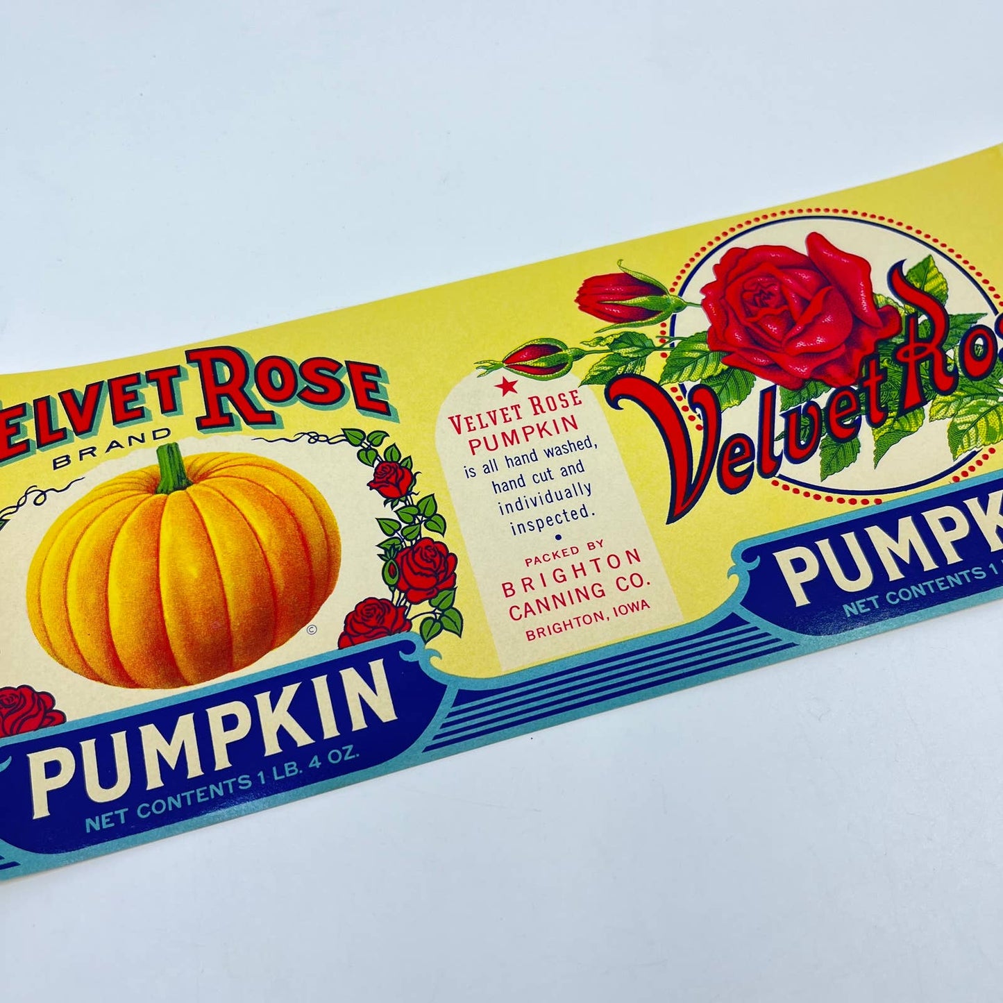 1930's Original Unused Vintage Velvet Rose Pumpkin Can Label Brighton IA FL3