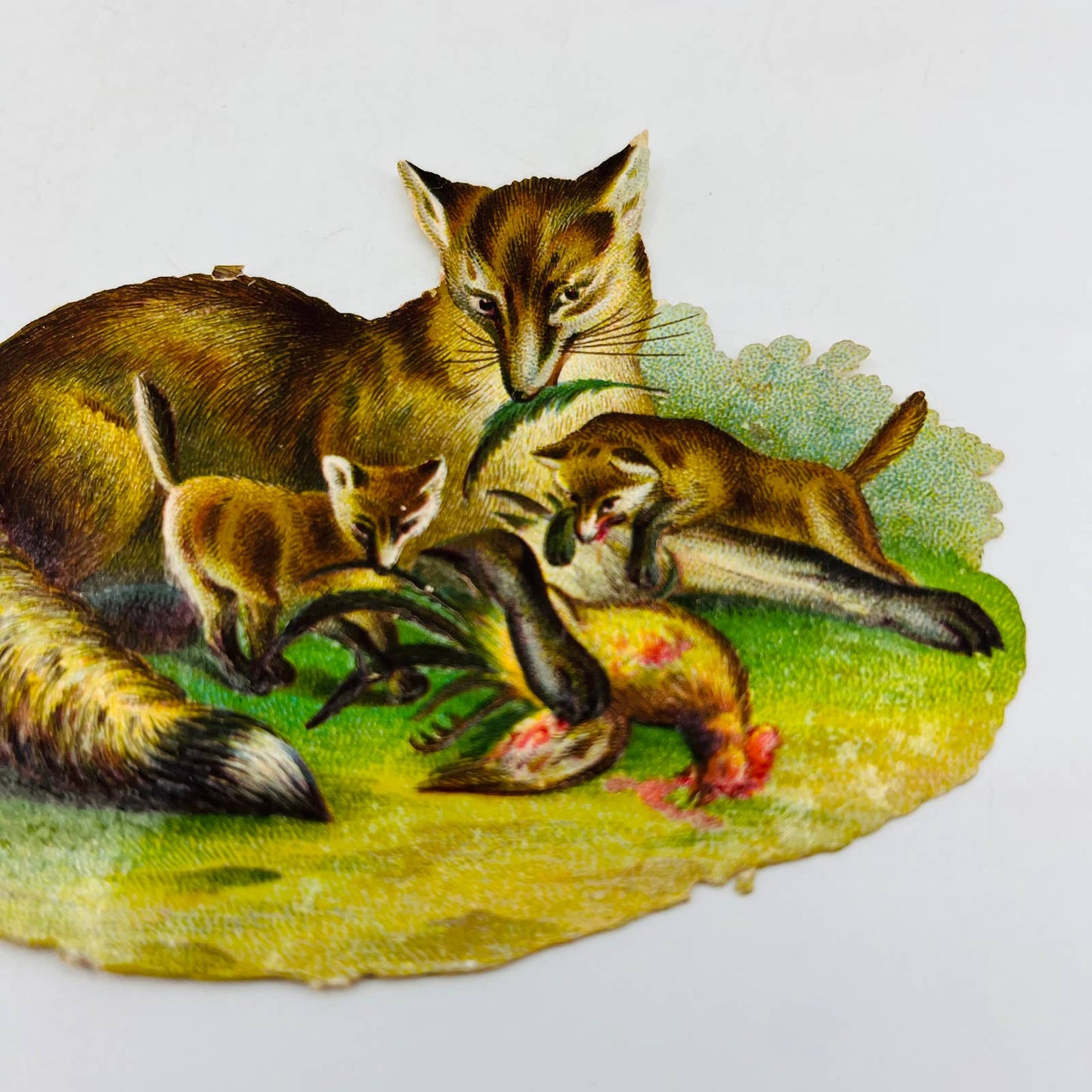1880s Embossed Victorian Die Cut Fox with 2 Kits and Dead Chicken 3 x 4.5” AA2