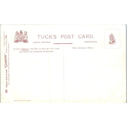 New Brighton From the Sands Raphael Tuck Oilette Original Postcard P3-2