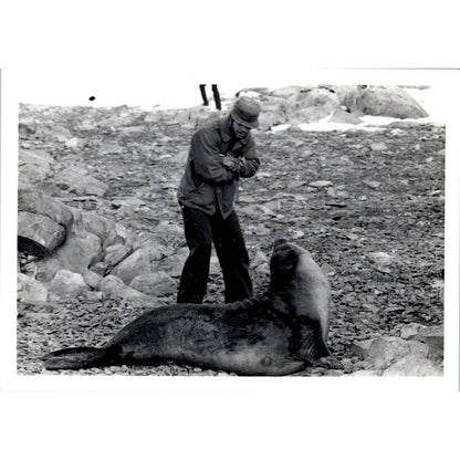 c1970 Original Photograph Man With Wild Sea Lion 5x7 AD6