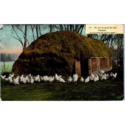 Chickens Scratching for the Farmer c1910 Original Postcard P2-1
