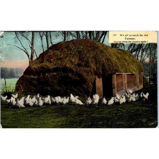 Chickens Scratching for the Farmer c1910 Original Postcard P2-1