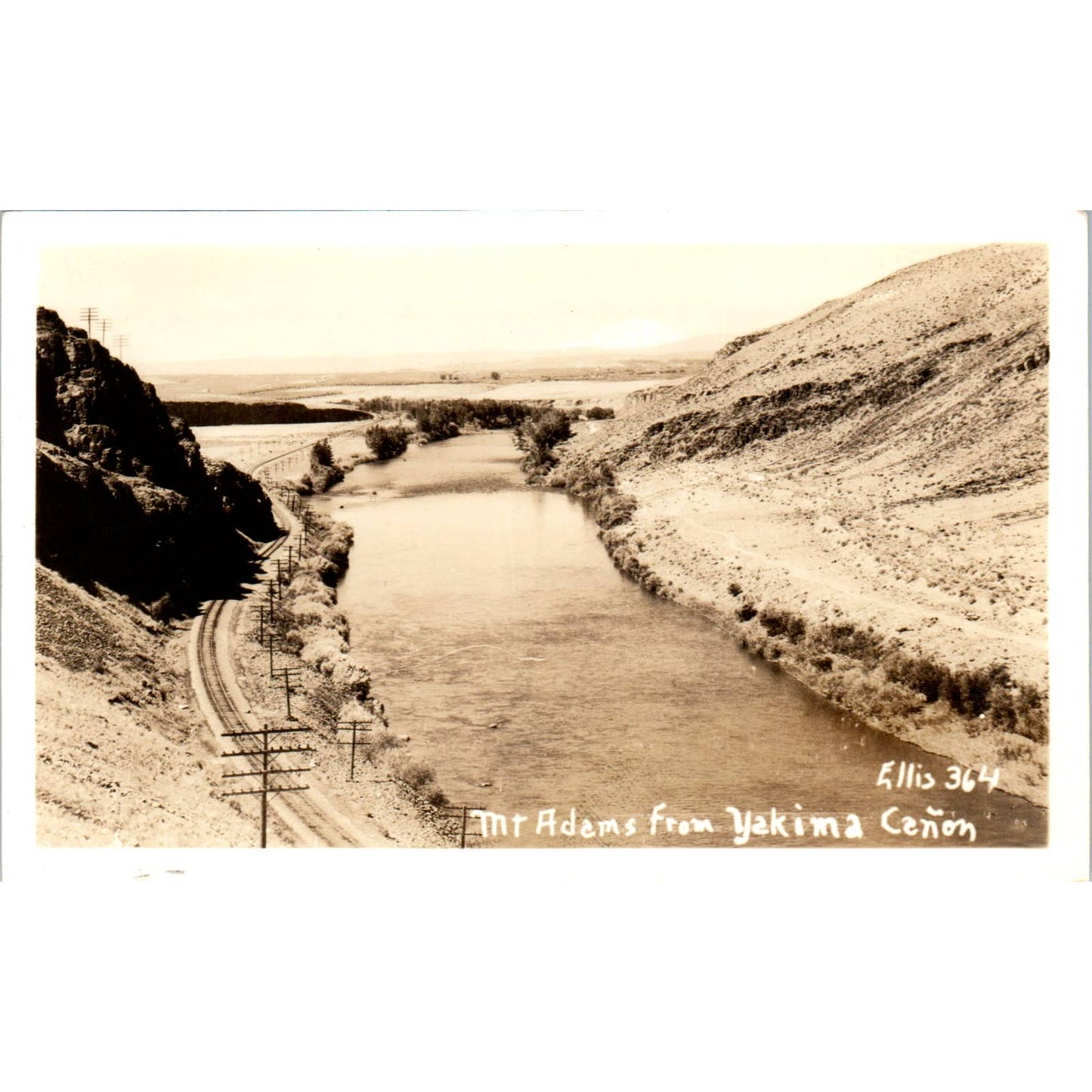 Antique Postcard RPPC Mt. Adams From Yakima Canyon SE8
