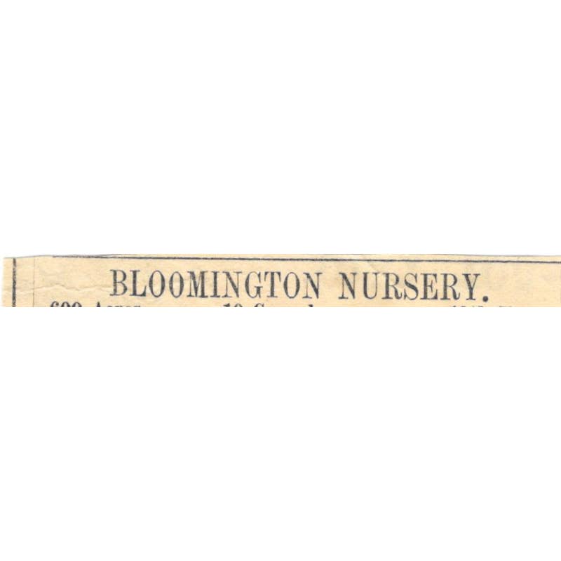 Bloomington Nursery F.K. Phoenix Bloomington IL - Ad 1878 Original TJ7-L2-3