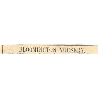 Bloomington Nursery F.K. Phoenix Bloomington IL - Ad 1878 Original TJ7-L2-3