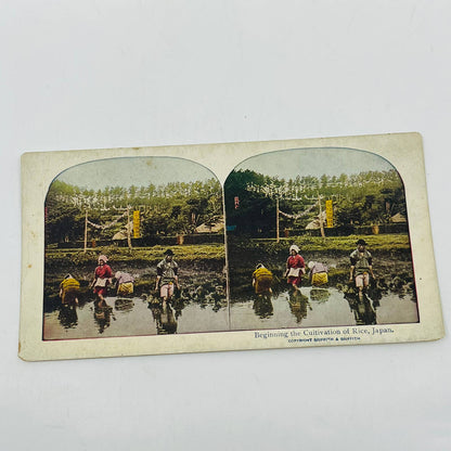 c1900 Stereoview Card Beginning the Cultivation of Rice Japan