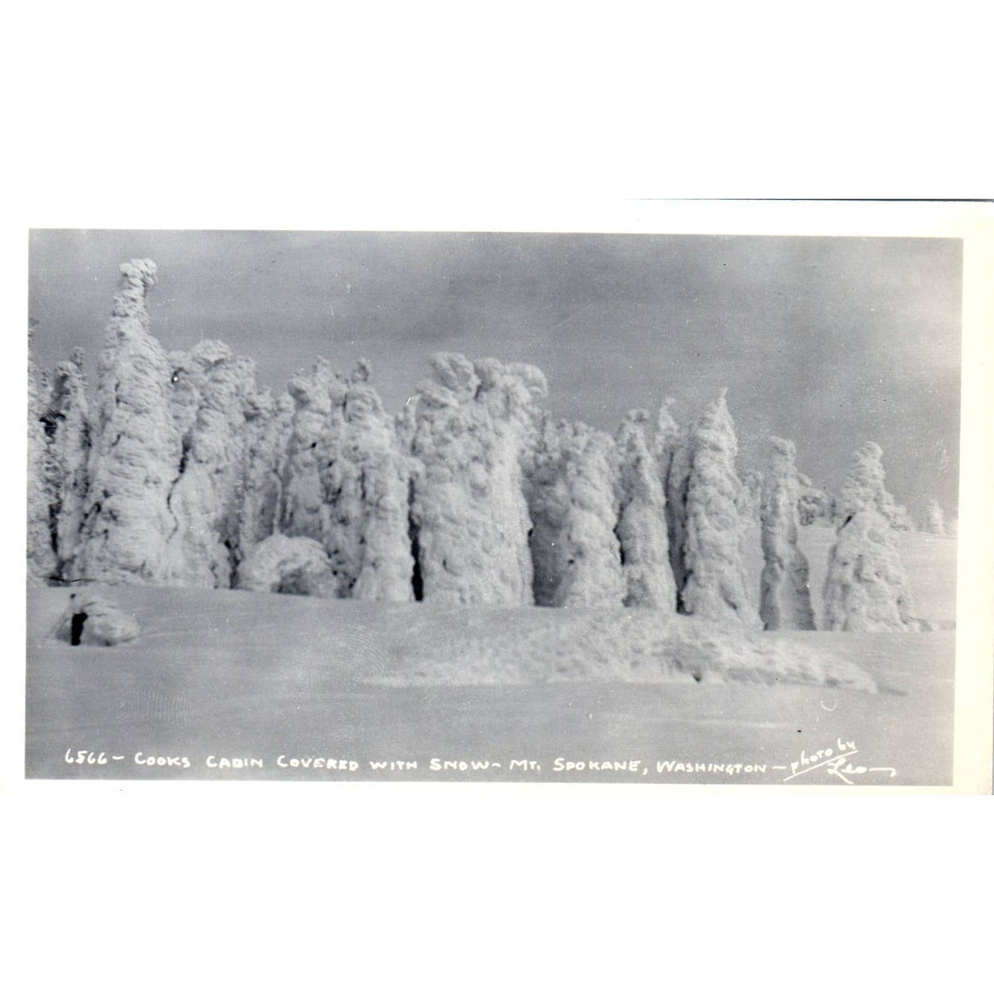 Vintage Postcard Cooks Cabin, Mt. Spokane Washington TD9-W2