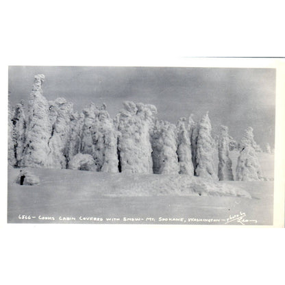 Vintage Postcard Cooks Cabin, Mt. Spokane Washington TD9-W2