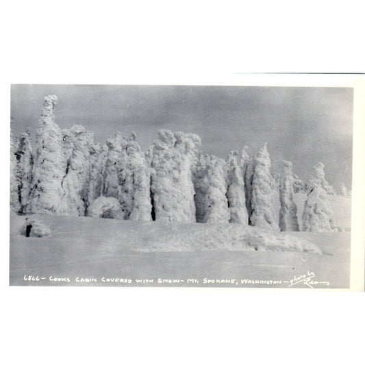 Vintage Postcard Cooks Cabin, Mt. Spokane Washington TD9-W2