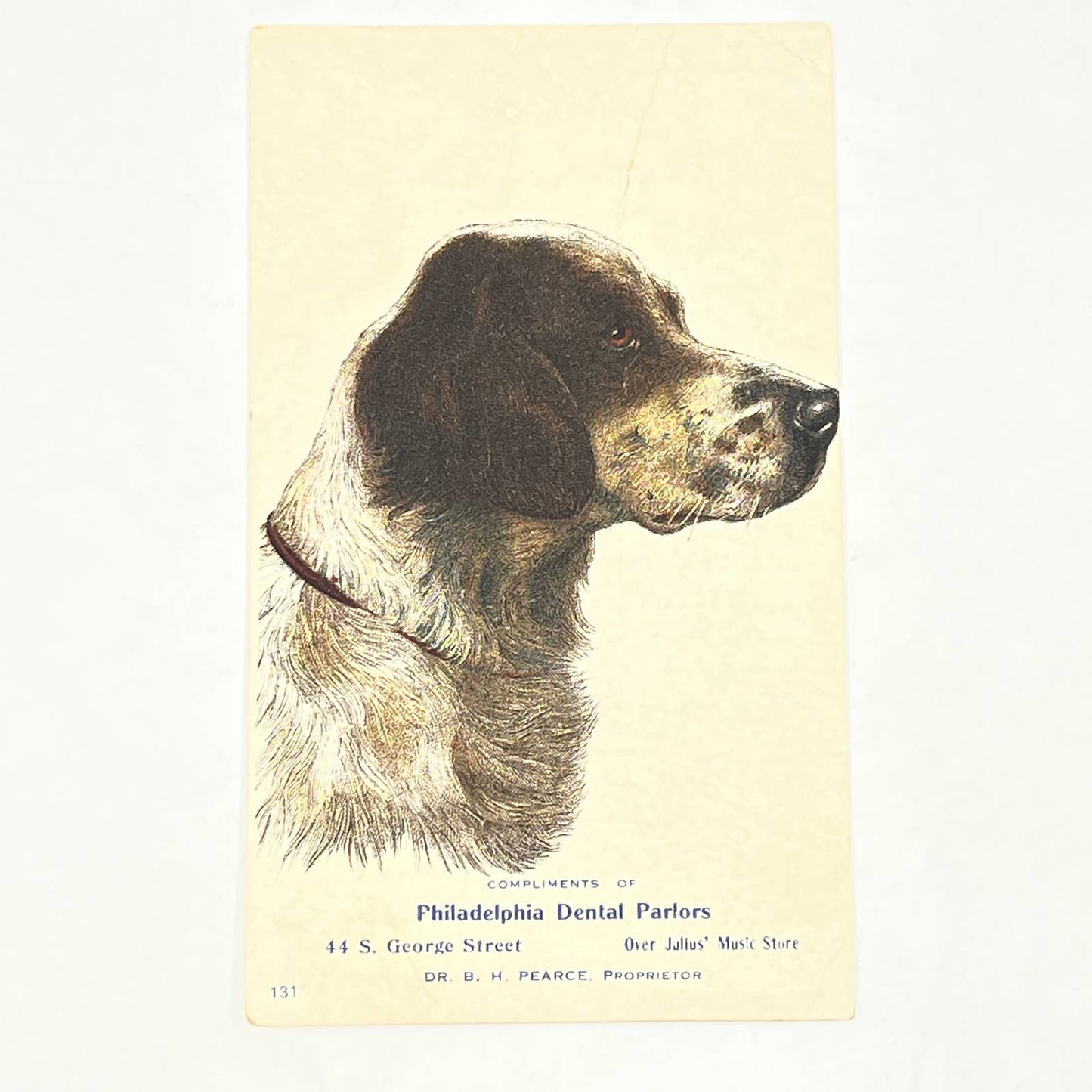 Original 1880s Victorian Trade Card Pointer Dog Philadelphia Dental Parlors AB6