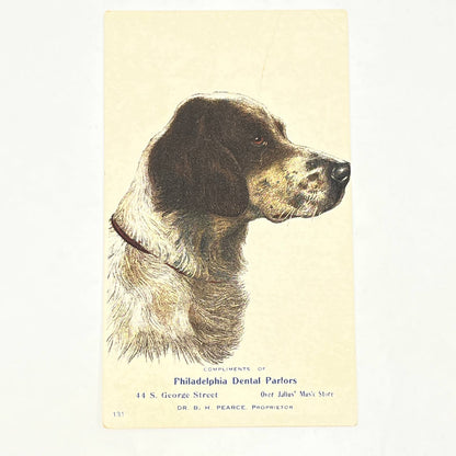 Original 1880s Victorian Trade Card Pointer Dog Philadelphia Dental Parlors AB6