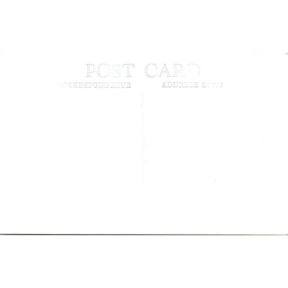 Antique Postcard RPPC Trumpeter Swan Montana SE8