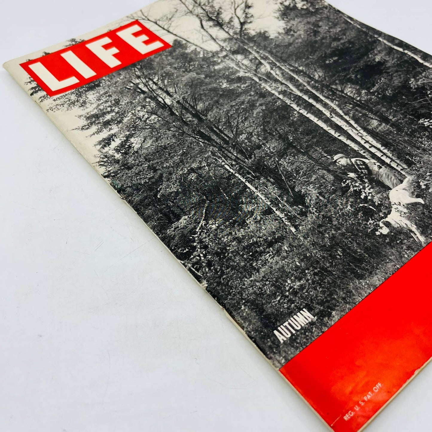 Life Magazine 1945 Oct 29 AUTUMN GAME HUNTING, ATOMIC SCIENTISTS, THE BOMB NICE