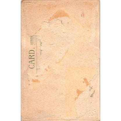 Antique 1913 Postcard St. Patrick's Day Embossed Erin Go Bragh Old Ireland SF2