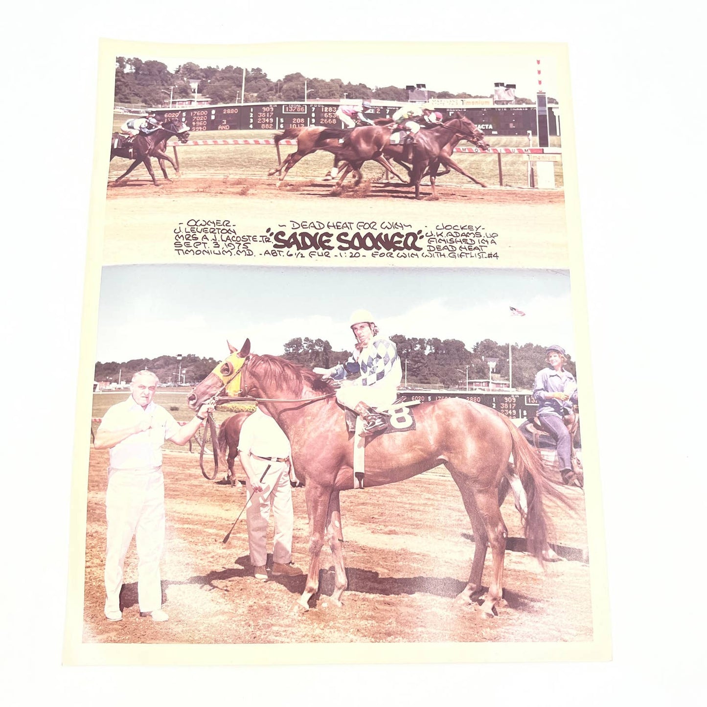 1975 Original Horse Race Winner Photo "Sadie Sooner" Timonium MD AC5