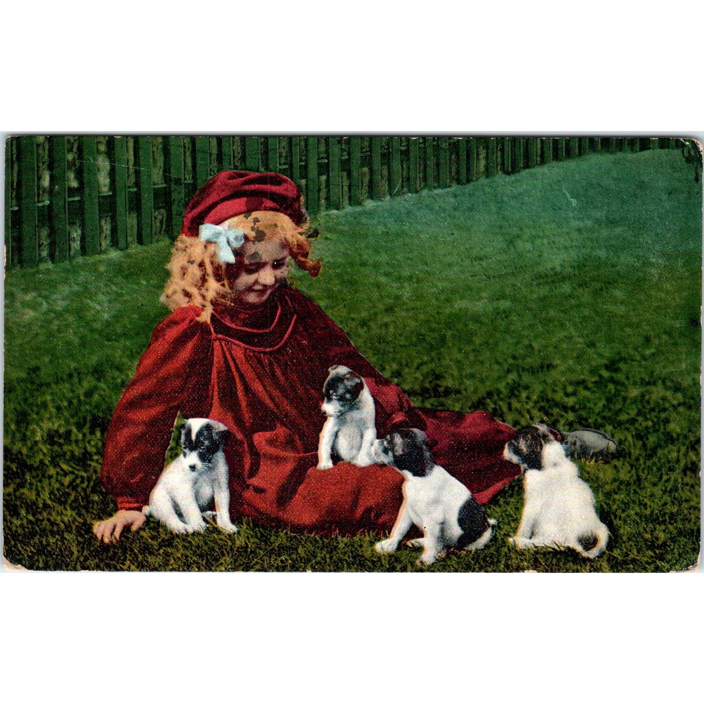 YOUNG GIRL WITH 4 PUPPY DOGS LOS ANGELES CA 1912 Original Postcard TK1-27