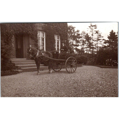 Early 1900s Photograph Victorian Woman in Horse and Buggy 3x5 SE5