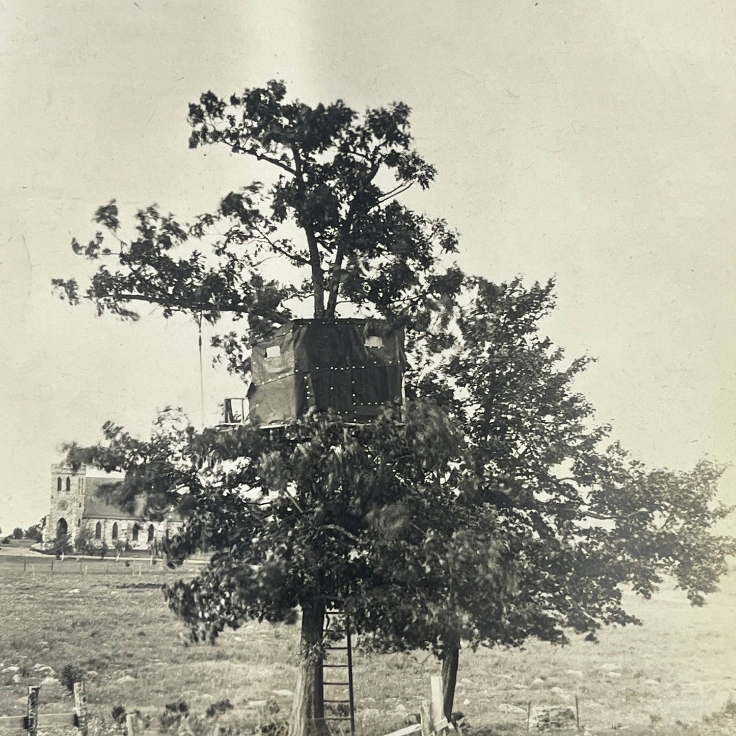 1903 Original Photo Tree house Built By Americans Ulster Co NY At Tuxpam AC7-2