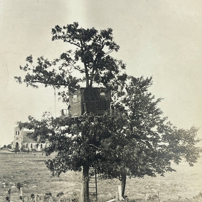 1903 Original Photo Tree house Built By Americans Ulster Co NY At Tuxpam AC7-2