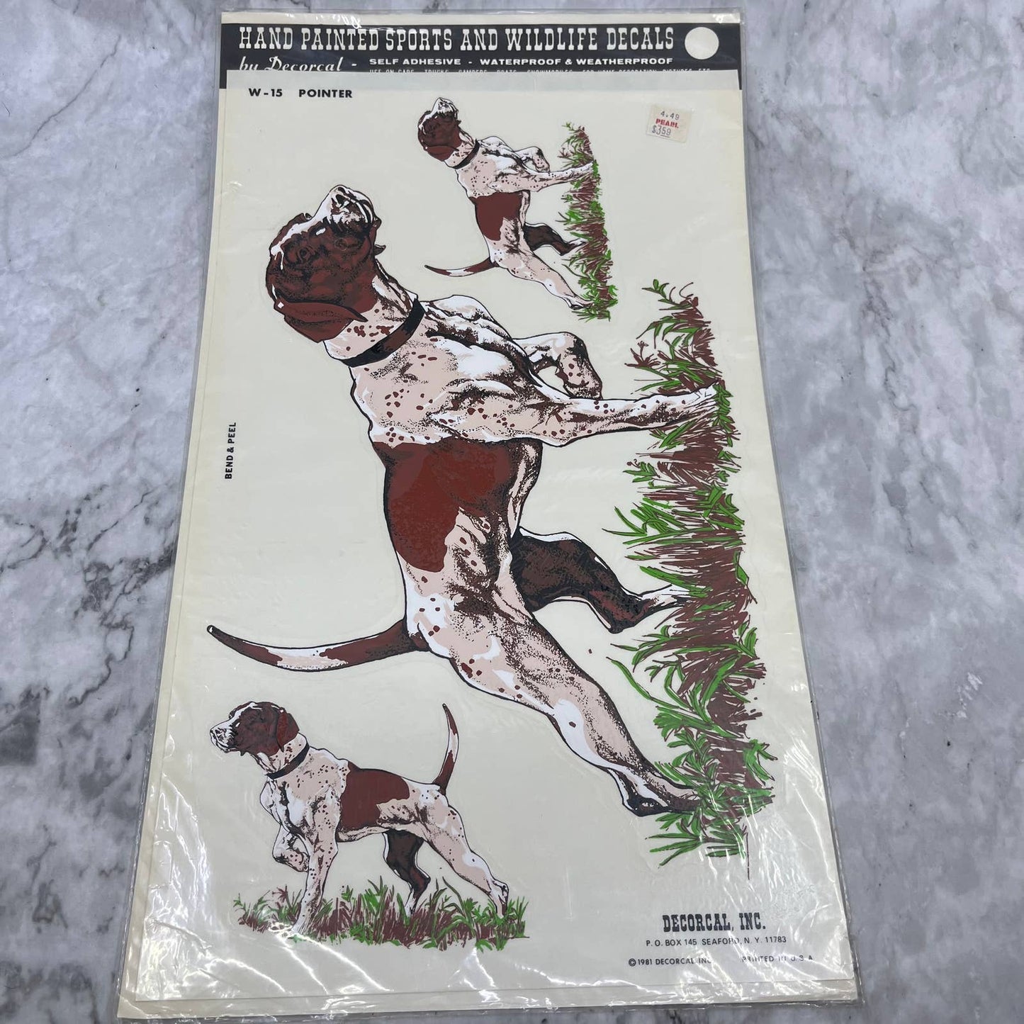 1981 NEW NOS Decorcal Sports & Wildlife Decal W-15 Pointer Hunting Dog FL5