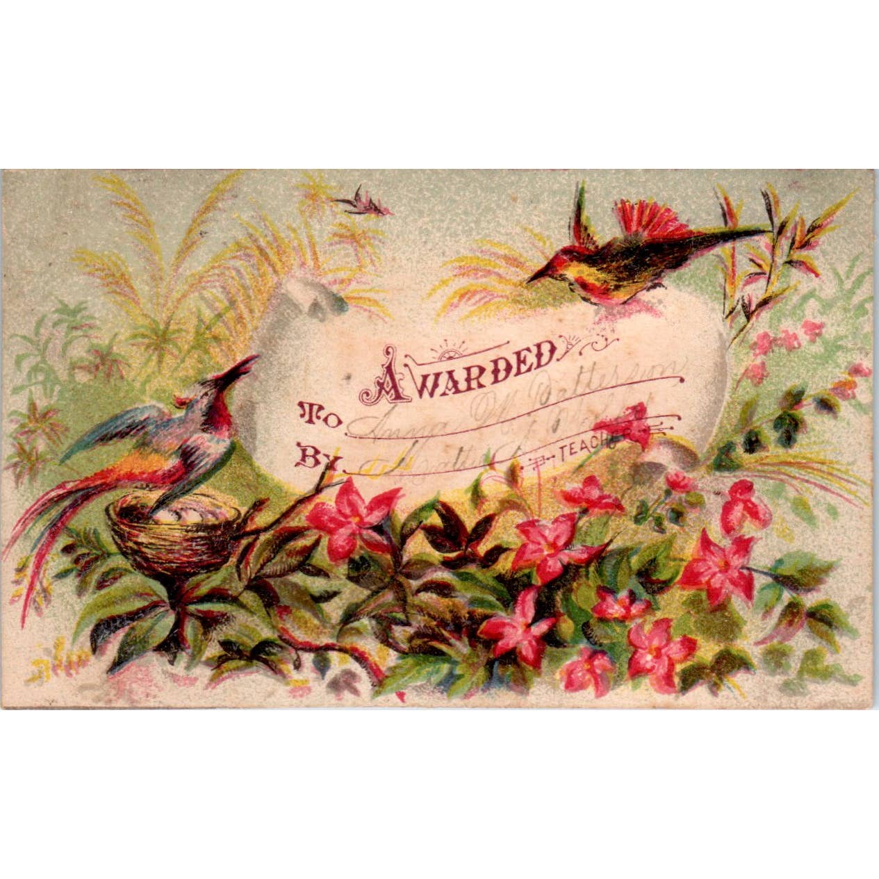 1880s Victorian Trade Card Award of Merit Anna M. Patterson Birds Nesting SF2