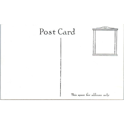 Vintage Postcard Rubberneck Row in the Winter Washington TD9-W2