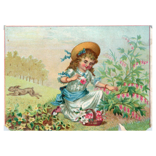 Victorian Girl Picking Flowers Bunny BLANK - 1880s Victorian Trade Card TJ8-3