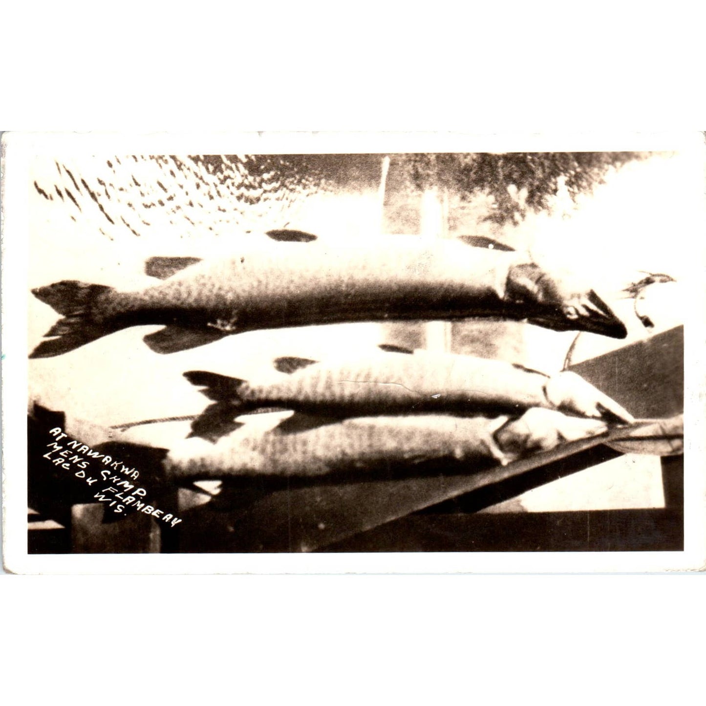 Fishing at Nawakwa Lac Du Flambeau Wisconsin 1936 Original Postcard TJ9-P2