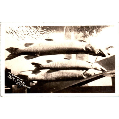 Fishing at Nawakwa Lac Du Flambeau Wisconsin 1936 Original Postcard TJ9-P2