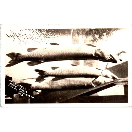 Fishing at Nawakwa Lac Du Flambeau Wisconsin 1936 Original Postcard TJ9-P2